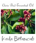 Clove Bud Pure Essential Oil 10ml